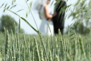 Marriage Tips and Tools