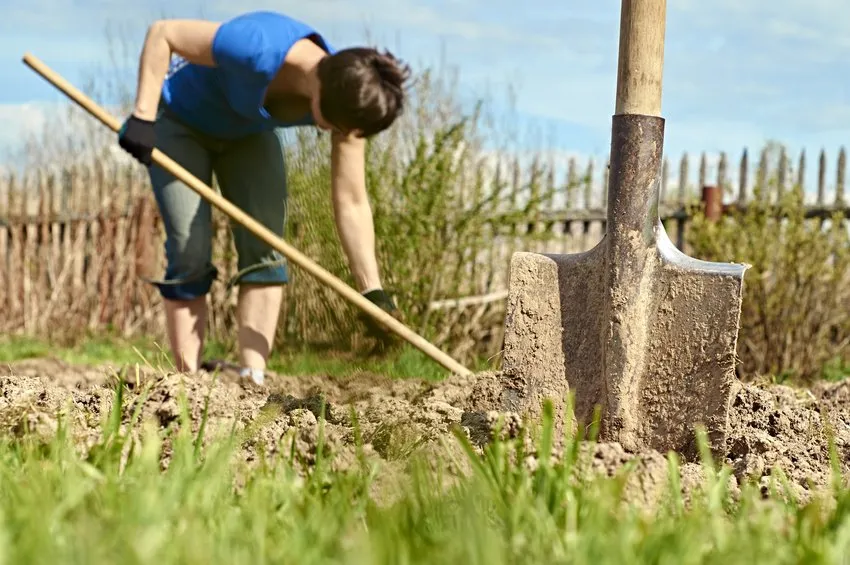 Family of Origin Work: Is it Time to Start Digging?