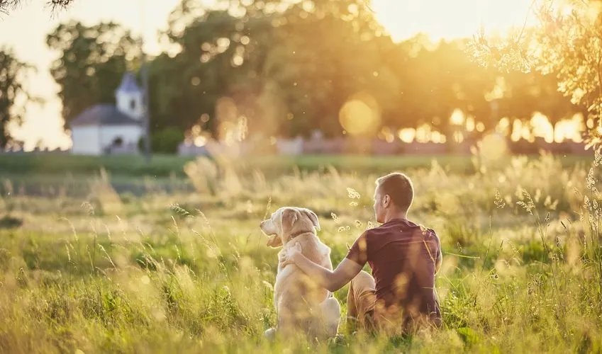 The Role of Your Belief Systems