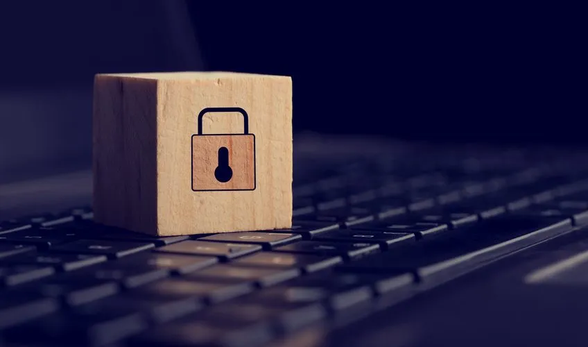 Privacy Policy / Disclaimer