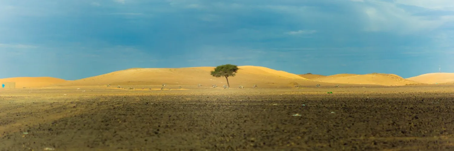 Powerful Tools to Recover Your Resilience