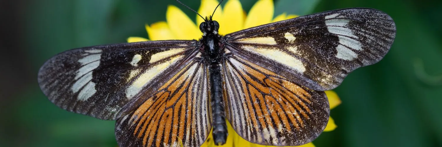 How are you different?