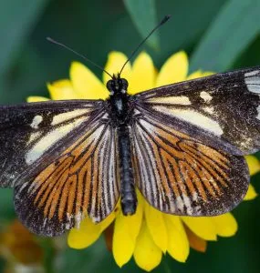 How are you different?