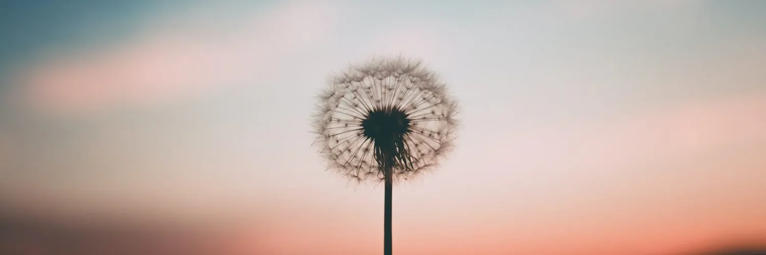 Time to heal and grow