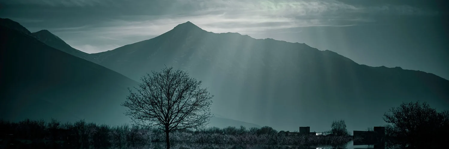 Reflections on Gratitude