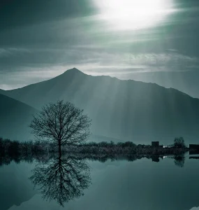 Reflections on Gratitude